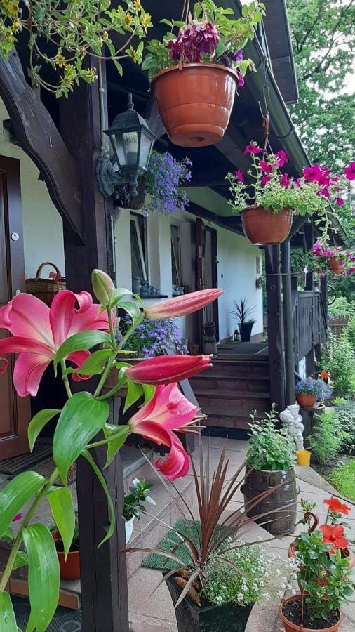 Pokoj W Karpaczu Appartement Buitenkant foto